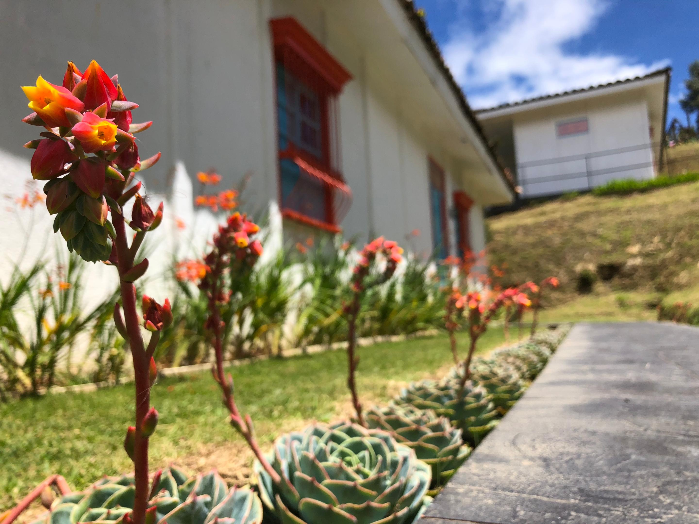 Dantica Cloud Forest Lodge San Gerardo de Dota Exterior photo