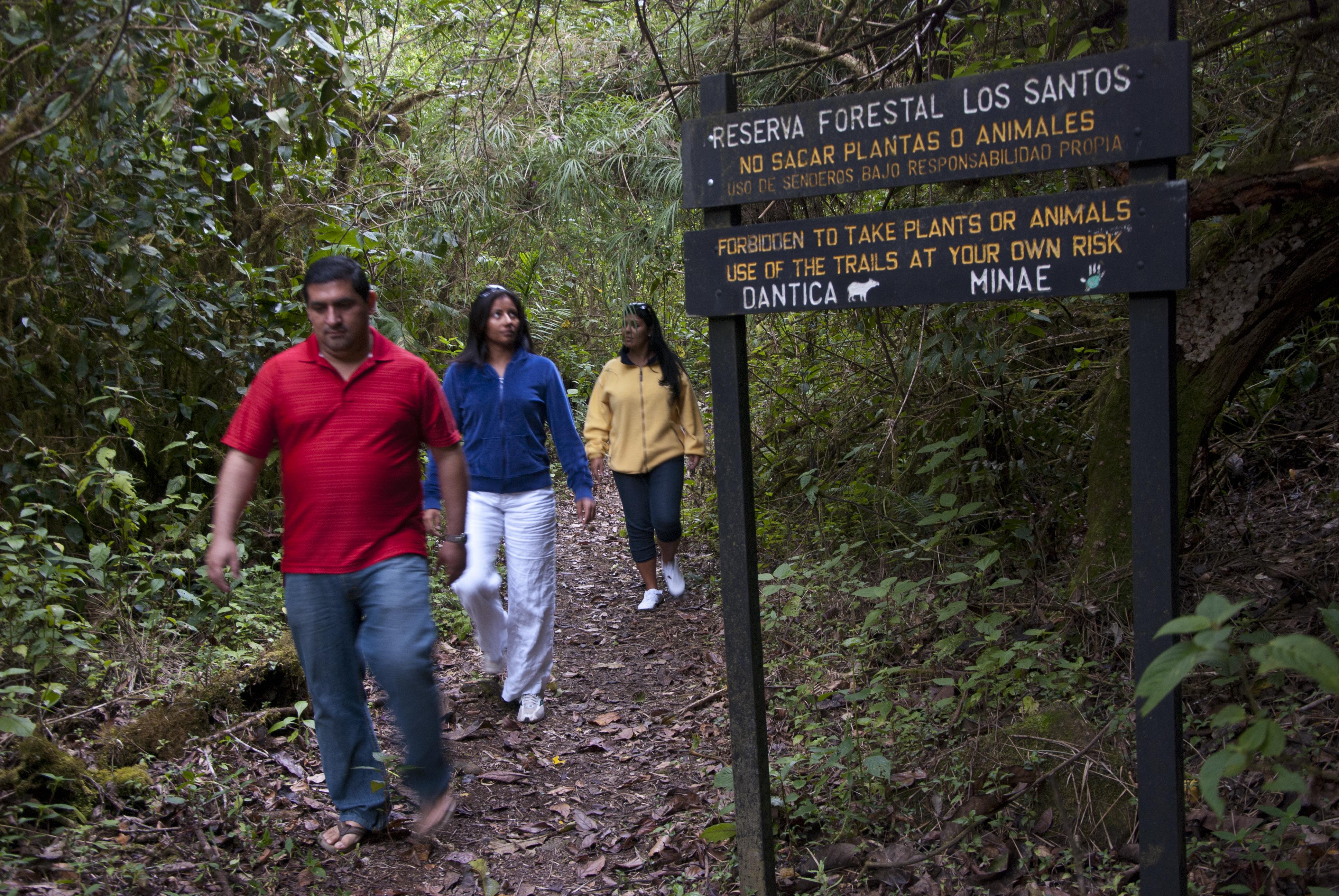 Dantica Cloud Forest Lodge San Gerardo de Dota Exterior photo