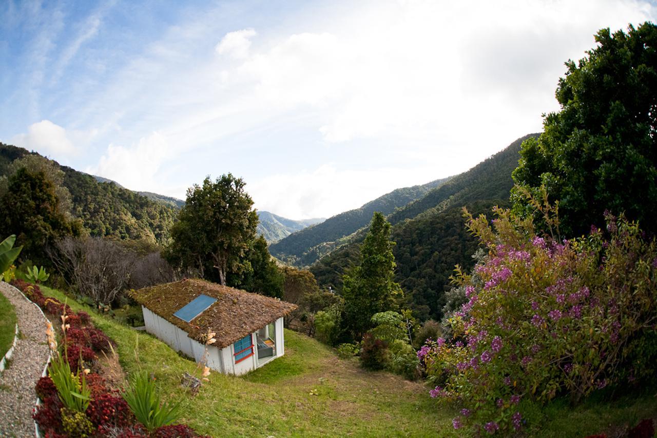 Dantica Cloud Forest Lodge San Gerardo de Dota Exterior photo